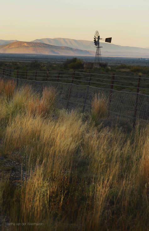 Farm South Africa, Safari Landscape, Windmills Photography, Country Images, Tilting At Windmills, Wind Mill, Old Windmills, Western Photography, Rural House