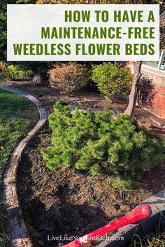 Creating A Flower Bed Front Yards, Outside Flower Beds Front Yards, Flowerbeds Front Of House Simple, Easy Maintenance Flower Beds, Border Flower Bed Ideas, Flowerbed Ideas Backyard, Rock Garden Flower Beds, Edgeless Flower Beds, Maintenance Free Flower Bed