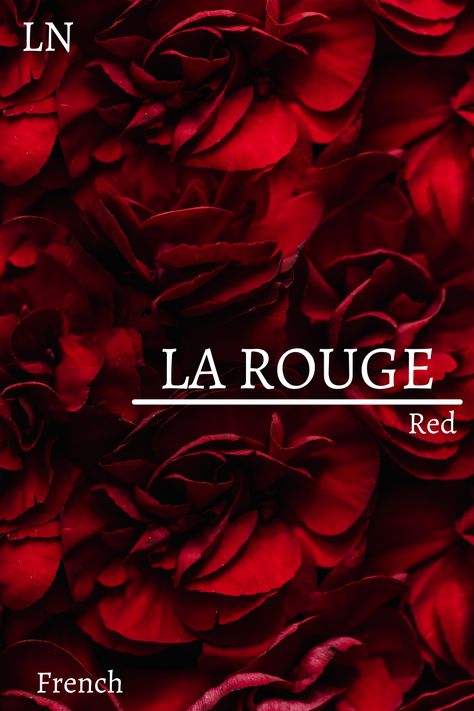 Surname Meanings, Names Meaning Red, Names That Mean Red, French Surnames, Exotic Names, Goddess Names, Fantasy Character Names, Female Character Names, Meaningful Names