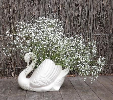 Swan Planter Ideas, Feminine Esthetics, Swan Vase, Swan Planter, A Crow, Green Inspiration, World Decor, Queen Annes Lace, Granny Chic