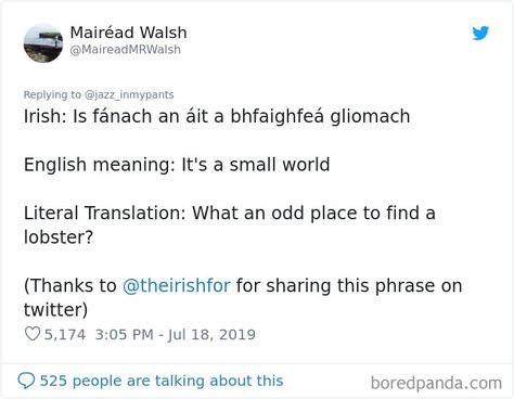 People-Share-Favorite-Foreign-Language-Phrases English Language Funny, Gaelic Phrases, Irish Language Phrases, Irish Gaelic Language, Irish Phrases, Irish Slang, English Language Memes Hilarious, Irish Memes, Irish Memes Hilarious