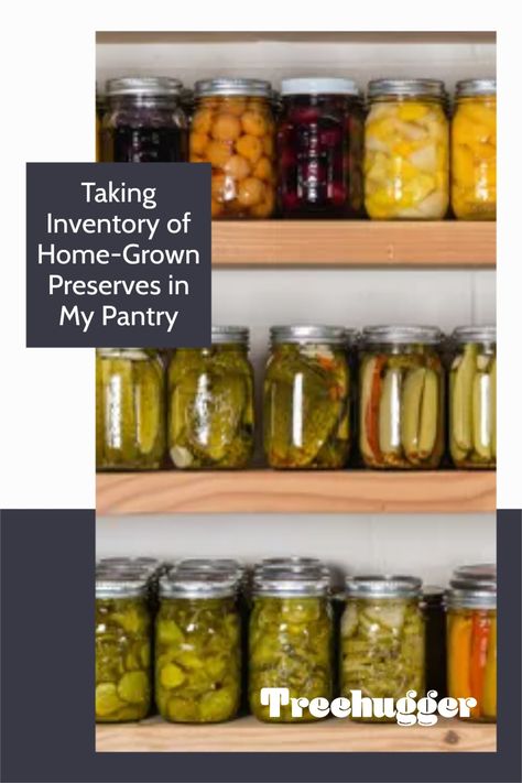 It's important and useful to keep track of what you preserve, store, and eat. Plants Per Person, Freezing Fruit, Elderberry Recipes, Stock Your Pantry, Prevent Food Waste, Canned Fruits, Canning Vegetables, Canned Vegetables, Dried Vegetables