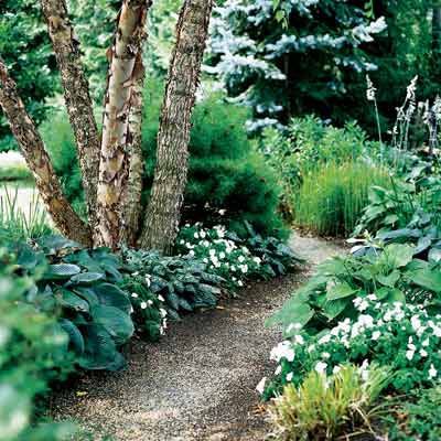 7 Steps to Creating a Backyard from Scratch - This Old House Wooded Backyard Landscape, Woods Garden, Woodland Gardens, Wooded Landscaping, Forest Garden, Backyard Living, Garden Path, Woodland Garden, Garden In The Woods