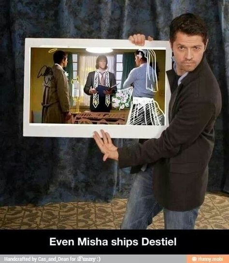 Destiel wedding Destiel Wedding, Sam And Gabriel, Jensen And Misha, Supernatural Destiel, Supernatural Memes, Odaiba, Supernatural Funny, Supernatural Cast, Supernatural Fandom