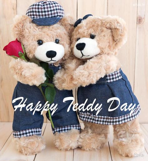 Best Teddy Bear And Happy Teddy Day Photos ,Valentine''s Week Teddy Day Photos, Happy Teddy Bear Day, Happy Teddy Day, Best Teddy Bear, Teddy Bear Day, Bond Quotes, Lovely Good Night, Teddy Day