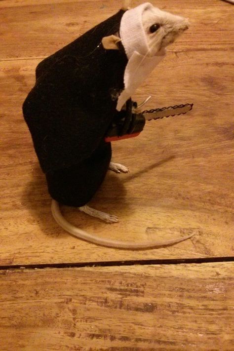 Flat Hamster, Cursed Rat, Mouse Taxidermy, Taxidermy Rat, Rat Meme, Mouse Aesthetic, Animals In Clothes, Get Stuffed, Uk Life