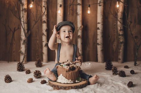 1st Birthday Photoshoot Boy Indoor, Cake Smash Diy, Winter Cake Smash, Woodland Cake Smash, Woodsy Cake, Woodland Theme Cake, Baby Boy Cake Smash, Cake Smash Boy, Boy Cake Smash