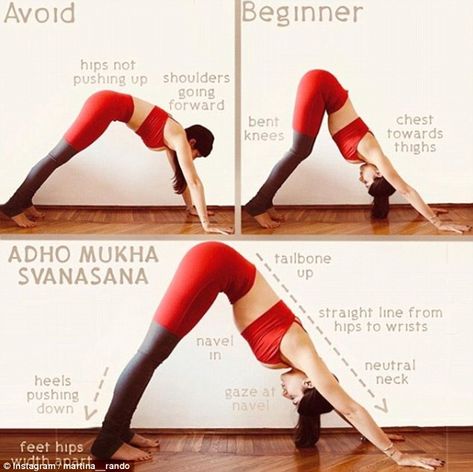 Martina Rando reveals the basic mistakes most Yoga beginners make Yoga Ashtanga, Yoga Nature, Ashtanga Vinyasa Yoga, Yoga Tutorial, Yoga Beginners, Yoga Techniques, Yoga Iyengar, Yoga Posen, Yoga Moves