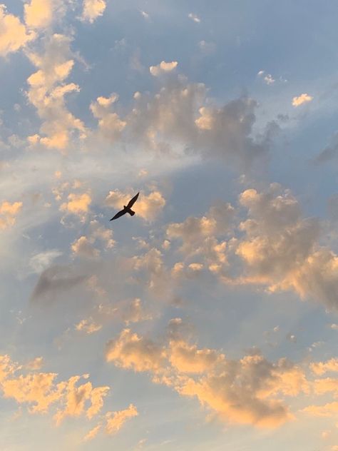 Yellow Cloud, Sky Gif, Cumulus Clouds, Nature Background Images, Birds In The Sky, Victorian Aesthetic, Beautiful Flowers Photos, Sky Sea, Pretty Sky