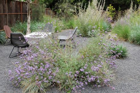 High Desert Landscaping, Mediterranean Garden Design, Backyard Plan, Gravel Garden, Grasses Garden, Contemporary Garden, Mediterranean Garden, Native Garden, Garden Tips