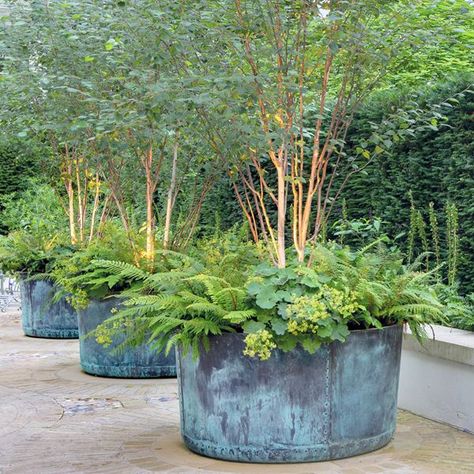 Lead & Other Planters - ARCHITECTURAL HERITAGE Butter Wakefield, Large Garden Pots, Large Garden Planters, Copper Garden, Copper Planters, Large Garden, Garden Containers, The Courtyard, Garden Planter