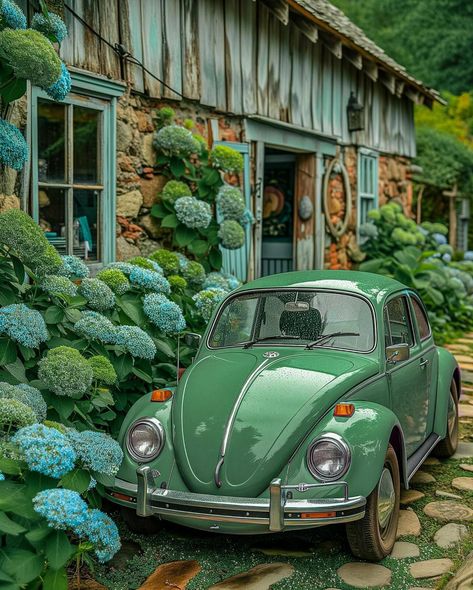 Digital Mixed Media, Green Cottage, Home Aesthetics, Alfa Romeo Spider, Vw Vintage, Modern Home Interior Design, Cottage Home, Vw T1, Green Theme