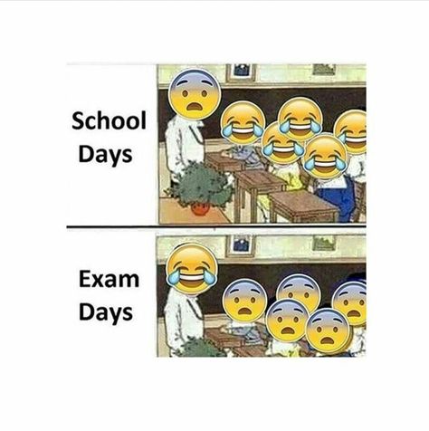 Minion Humour, Funny School Pictures, Exams Funny, Funny Quotes In Hindi, Exam Quotes Funny, Exam Quotes, Student Humor, School Quotes Funny, Super Funny Quotes