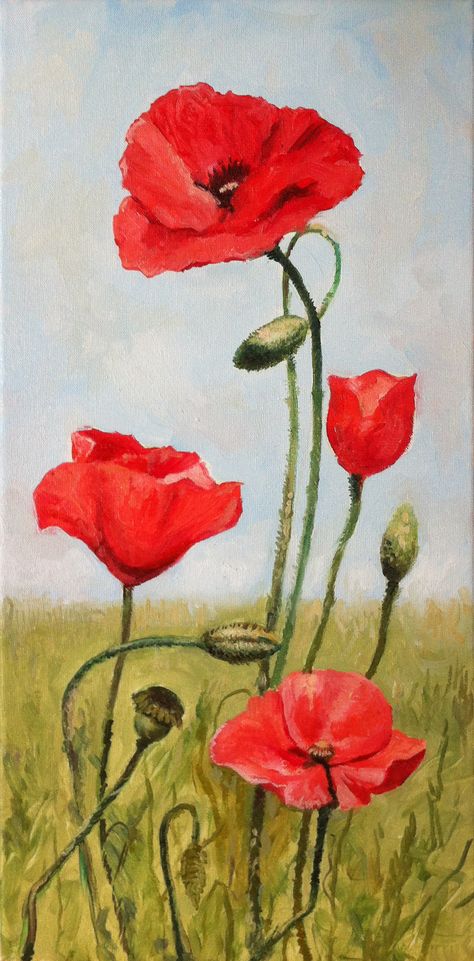 poppy flowers by Miroslaw Pieprzyk, oil on canvas Poppy Painting Easy, Easy Flower Painting Ideas, Poppy Paintings, Flower Painting Ideas, Poppy Field Painting, Red Poppy Painting, Poppy Flower Painting, Flowers On Canvas, Eagle Project