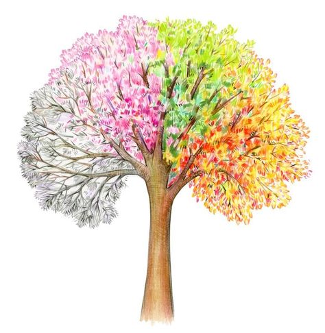 Tree With All Four Seasons, All The Seasons In One Picture, 4 Season Tree Tattoo, Painting Four Seasons, Winter Spring Summer Fall Art, Spring Summer Autumn Winter Art, Changing Seasons Art, Spring Tree Drawing, 4 Seasons Drawing