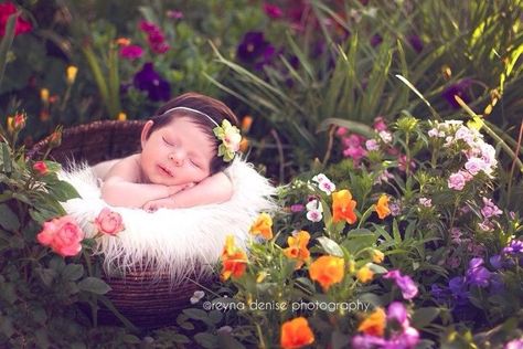 Outdoor Baby Photography, Outdoor Newborn Photography, Garden Photoshoot, Diy Newborn Photography, Sibling Photography, Newborn Photography Poses, Newborn Pics, Newborn Baby Photoshoot, Baby Shoot