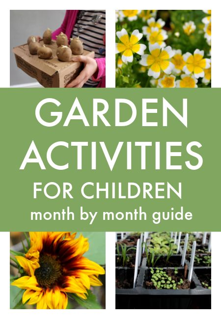 Kids Gardening Activities, Waldorf Garden, School Garden Club, Gardening Kids Activities, Garden Classroom, Gardening Activities, Kids Gardening, Preschool Garden, Childrens Gardening