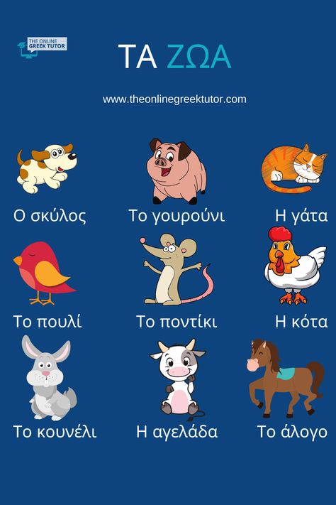 How to say the animals in Greek? Learn some of them in this pin and improve your knowledge. Learn more Greek words and improve your vocabulary in our video lessons Greek Vocabulary Words, Greek Learning, Greek Vocabulary, Greek Lessons, Learning Greek, Greece Language, Greek Language Learning, Learn Greek, Learning Languages Tips