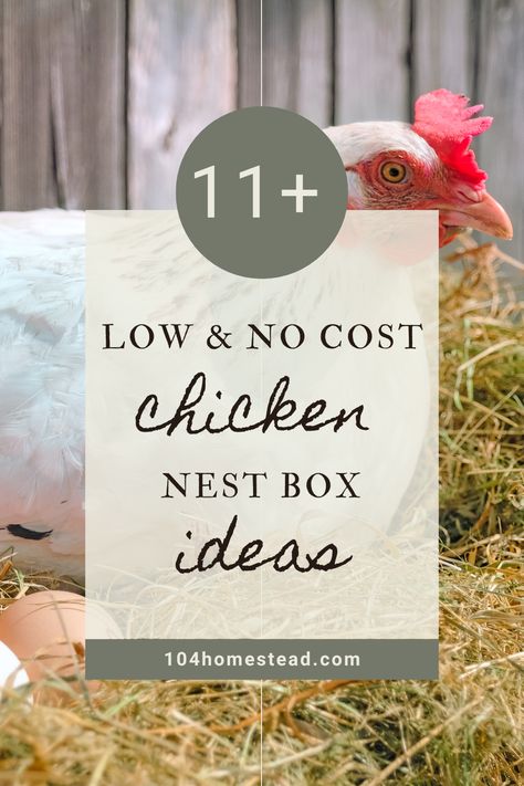 Are you looking for creative ways to build a chicken nest box on a budget? Look no further! In this article, you’ll find numerous inspiring DIY chicken nest box ideas that are not only cost-effective but easy to construct. Whether you want to upcycle old materials or build it from scratch, we’ve got it all covered. Read on to find the perfect chicken nest box for your flock. How To Make Chicken Nesting Boxes, Building Nesting Boxes For Chickens, Tire Nesting Boxes For Chickens, Hen Nesting Boxes Diy, Easy Nesting Boxes For Chickens, Nest Box Ideas, Diy Nesting Boxes For Chickens, Chicken Nest Boxes, Diy Nesting Boxes