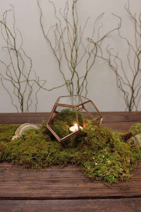 A little patch of moss with a silver geo something and votive Moss Wedding Decor, Moss Centerpieces, Moss Wedding, Geometric Candle Holder, Gold Mines, Terrarium Centerpiece, Geometric Candles, Board Signs, Moss Covered