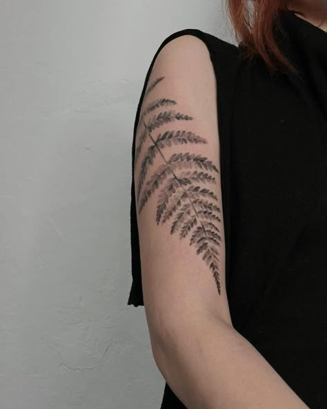 Fern Arm Band Tattoo, Wrap Around Fern Tattoo, Fern Bicep Tattoo, Upper Arm Fern Tattoo, Resurrection Fern Tattoo, Fern Shoulder Cap Tattoo, Fern Shoulder Tattoo, Fern Arm Tattoo, Fern Tattoo Arm