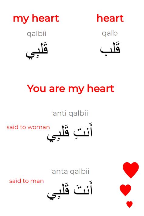 Qalb:  The romantic sentence "You are my heart" is a nominal sentence in Arabic. It is just two words: "You" (anti for a woman or anta for a man) and "my heart" (qalbii). A nominal sentence has no verb, since the verb "to be" is implied and not needed in Arabic. Literally it means "you my heart". Arabic Sentences With Meaning, Arabic Words With Meaning, My Love In Arabic, Romantic Sentences, Heart Meaning, Learning Arabic For Beginners, You Are My Heart, Arabic Verbs, Verb To Be