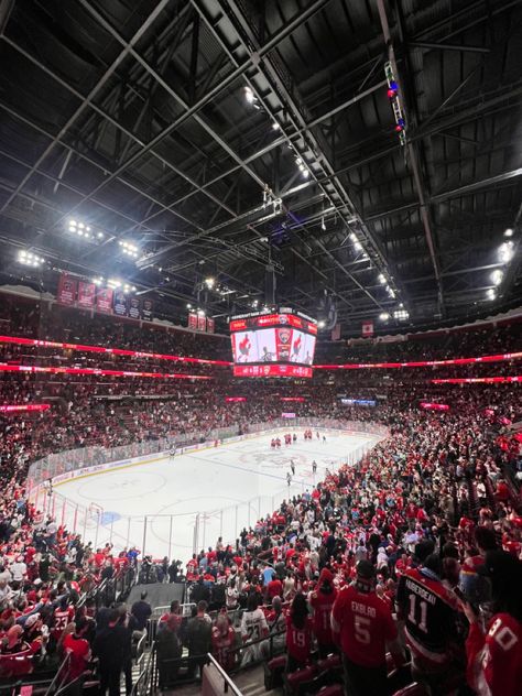 Hockey rink of Florida Panthers Florida Panthers Aesthetic, Florida Panthers Hockey, Hockey Aesthetic, Nj Devils, 2025 Vision, Florida Panthers, Hockey Players, Hockey Rink, Ice Hockey