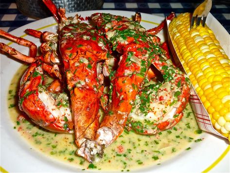 Pan roasted lobster from Summer Shack, Cambridge MA. #lobster #seafood #fish #summershackcambridge #cambridge #newenglandseafood #VisitingNewEngland New England Seafood, Clam Cakes, Baked Haddock, Lobster Restaurant, Fried Clams, Seafood Feast, Lobster Recipes Tail, Extreme Food, Fresh Lobster