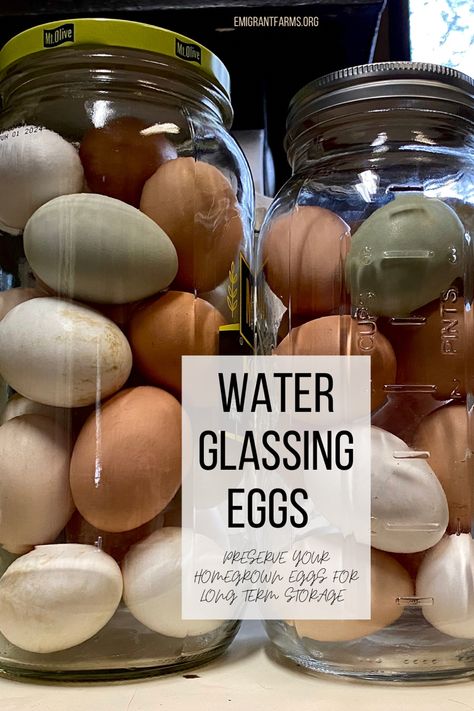 Water glassing eggs is a simple method of preserving eggs for long term storage. No need to freeze or can- these eggs are shelf stable in the lime water solution. Learn how to water glass eggs in this simple step by step tutorial. Water Canning Eggs, How To Glass Eggs, Lime Water Eggs, Long Term Egg Storage, Preserving Eggs In Pickling Lime, How To Water Glass Fresh Eggs, Glassing Eggs Recipe, Storing Eggs In Lime Water, Preserving Eggs In Lime