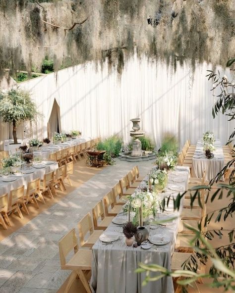 35 Major Trends for 2025 Weddings Elegant Outdoor Wedding Reception, Fun Wedding Entertainment, Hanging Moss, Garden Setup, Elegant Garden Wedding, Hand Drawn Wedding Invitations, Elegant Outdoor Wedding, Tan Wedding, Garden Wedding Reception