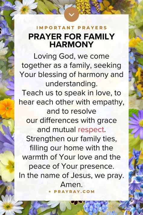 Family Prayer Quotes, Prayer For Loved Ones, Intercession Prayers, Prayer For Our Children, Protection Prayer, Family Protection, Prayer For My Family, Family Prayer, Family Harmony