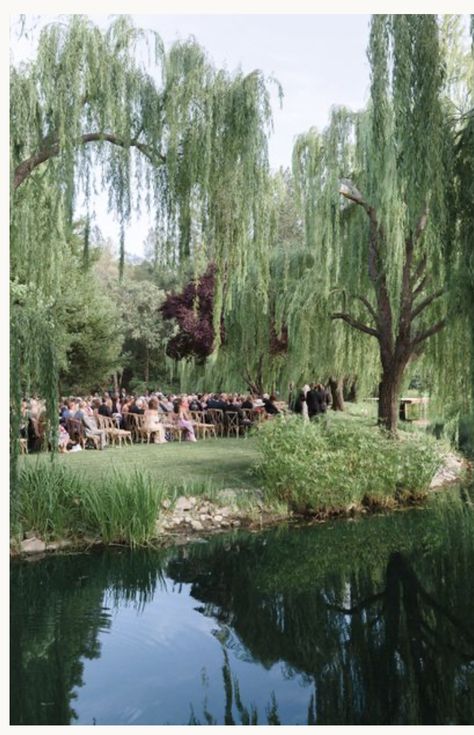 Under Willow Tree, Willow Tree Wedding, Victoria Wedding, House Landscaping, House Landscape, Tree Wedding, Film Producer, Willow Tree, Estate Wedding