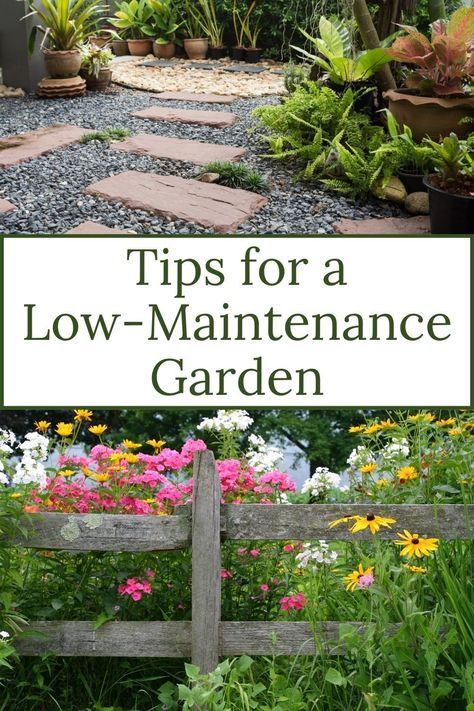 No Work Garden, Garden Maintenance Tips, Low Maintenance Garden Ideas, Garden Wedding Guest, Small Front Garden Ideas, Garden Planning Layout, Small Front Gardens, Landscape Curbing, Lawn Alternatives