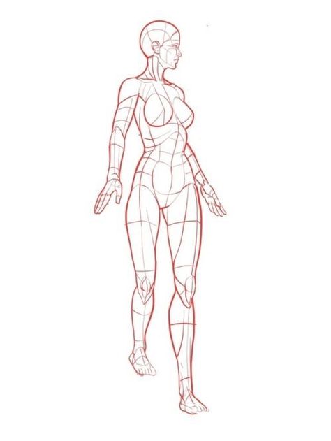 Walking Poses, Fashion Figure Drawing, Drawing Body Poses, Sketch Poses, Really Cool Drawings, Human Anatomy Drawing, Human Figure Drawing, Human Anatomy Art, Human Drawing