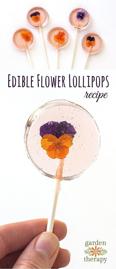 Flower Lollipops, Lollipops Recipe, Lollipop Recipe, Flower Desserts, Edible Flowers Recipes, Oreo Dessert, Flower Party, Flower Food, Beltane