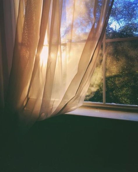 Kristina Webb, Morning Aesthetic, Window View, Through The Window, Morning Light, Aesthetic Photography, Light And Shadow, Aesthetic Pictures, The Sun