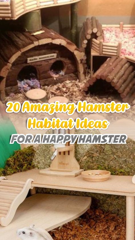 Natural Hamster Habitat Ideas, Diy Syrian Hamster Cage, Hamster Bedding Ideas, Hamster Safe Plants, Diy Hamster Habitat, Hamster Aquarium Ideas, Aquarium Hamster Cage, Small Hamster Cage Ideas, Diy Hamster Cage Accessories