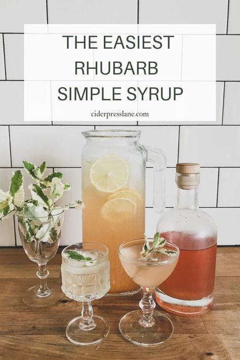 Honey Simple Syrup Recipe, Rhubarb Simple Syrup, Freeze Rhubarb, Rhubarb Sauce, Simple Syrup Recipe, Jam Bars, Most Beautiful Colors, Rhubarb Syrup, Honey Simple Syrup