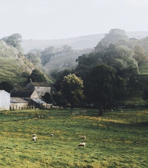 Ireland Landscape, English Countryside, Sheep, Trees