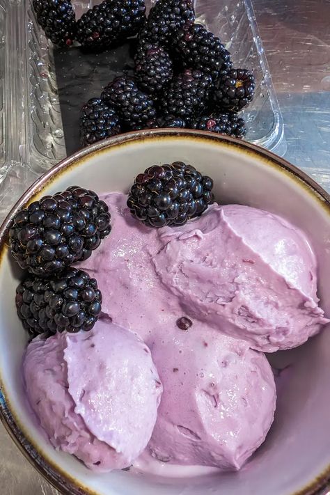 Easy Churned Taro Blackberry Luxurious Ice Cream. - A Cents For Cookery Ice Cream Aesthetic, Blackberry Classic, Blackberry Ice Cream, Dr Aesthetic, Pjo Dr, Lavender Ice Cream, Ice Cream Set, Fresh Fruit Recipes, Ice Cream Mixture