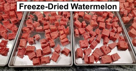 Freeze Dried Watermelon, Healthy Freeze Dried Snacks, Dried Watermelon, Plan Ahead Meals, Freeze Dried Food Storage, Watermelon Benefits, Harvest Right Freeze Dryer, How To Make Bubbles, Best Freeze Dried Food