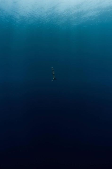 Swimming In Deep Ocean, Blue Mind Theory, The Vast Tma Aesthetic, Deep Ocean Wallpaper, Uss Titan, Shark Oc, Creepy Artwork, Ocean Underwater, Art Assignments