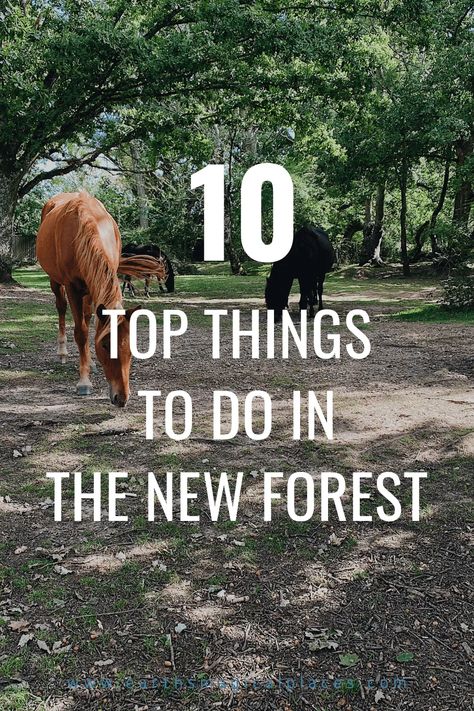 all the best things to do in the New Forest National Park (Hampshire England). Read the best walks, and discover the best places to visit in the New Forest such as Brockenhurst, Burley, and Lymington. Of course, you can’t forget the wild horses to #NewForest #Travel #England The New Forest England, New Forest National Park, Brockenhurst New Forest, New Forest National Park England, New Forest Hampshire, Burley New Forest, New Forest England, Europe Holiday, Hampshire England