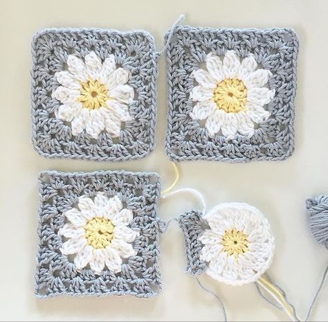 Pretty daisy squares Daisy Squares Crochet, Daisy Flower Granny Square Pattern, Crochet Daisy Granny Square Blanket, Granny Square Daisy Crochet Pattern, Daisy Square Crochet Pattern, Pretty Granny Squares, Daisy Crochet Granny Square, Daisy Square Crochet, Crochet Daisy Square