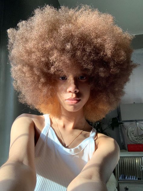 fro, 4c hair Hair Colors For 4c Hair, Blonde 4c Hair Natural, Died Afro, Honey Blonde Afro 4c, Brown 4c Hair Dye, Light Brown 4c Hair, Honey Blonde 4c Natural Hair, Afro Blonde Hair, 4c Blonde Hair