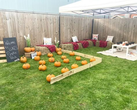 Hay Bales Seating For Party, Pumpkin Patch Backdrop Ideas, Fall Party For Toddlers, Great Pumpkin Birthday Party, Harvest Festival Birthday Party, Fall Bday Party Ideas 1st Birthdays, Pumpkin Patch Party Favors, Fall Birthday Games For Kids, Fall Harvest First Birthday Party