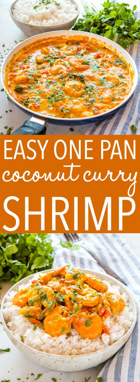 This Easy One Pan Coconut Curry Shrimp is the perfect easy healthy weeknight meal served over rice! Make it dairy-free and with fresh or frozen shrimp! Recipe from thebusybaker.ca! #curry #easy #recipe #shrimp #seafood #pescatarian #healthy #lowfat #lowcarb #rice #indianfood #homemade #weeknight #meal #family #foodblogger via @busybakerblog Easy Coconut Curry Shrimp, Curried Shrimp And Rice, Easy Dinner Recipes Pescatarian, Shrimp Recipes Curry, Easy Prawn Curry, Coconut Rice And Shrimp, Curry Coconut Shrimp, Pescatarian Meal Ideas, Dairy Free Shrimp Recipes