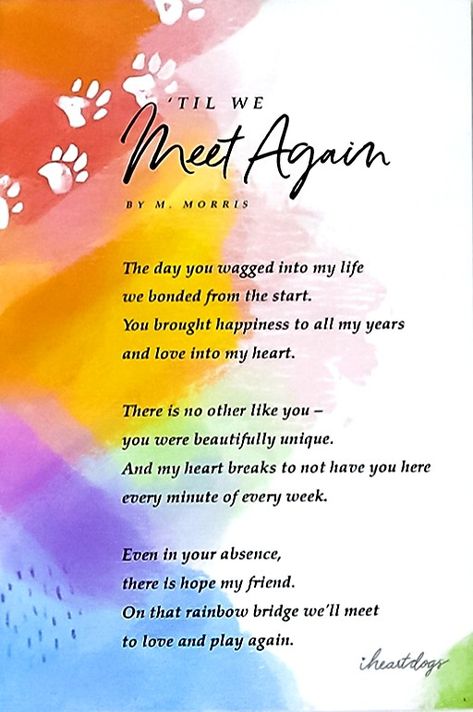 Dog Memorial Quotes, Losing A Pet Quotes, Dog Heaven Quotes, Stone Quotes, Miss My Dog, Dog Poems, Dog Quotes Love, Heaven Quotes, Dog Heaven