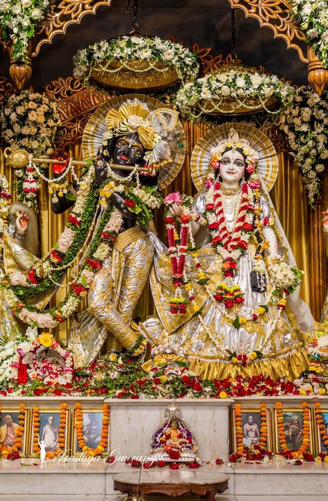 Radha Krishna Mayapur Wallpaper, Radha Krishna Mayapur, Radha Krishna Pictures Full Hd, Iskcon Krishna Wallpapers Hd, Iscon Temple Radha Krishna, Mayapur Radha Krishna, Radha Krishna Wallpaper Full Hd 4k, Iskcon Krishna, Radhe Krishna Wallpapers