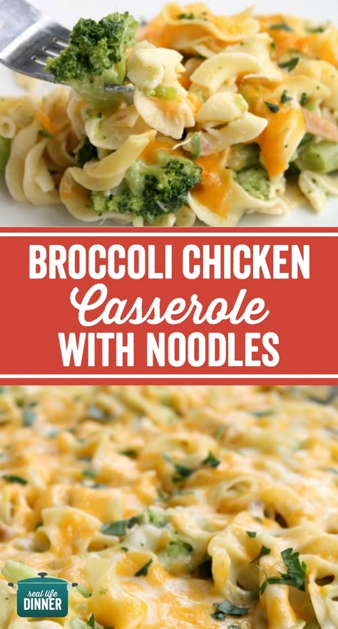 Chicken Noodles And Broccoli, Chicken Broccoli Noodles Cheese Casserole, Chicken Noodle Cheese Casserole, Cheddar Broccoli Noodles, Broccoli Cheese Noodle Casserole, What To Do With Egg Noodles, Broccoli And Noodle Recipes, Chicken Recipes With Egg Noodles, Recipes For Egg Noodles